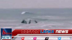 News Iamges.00_00_00_05.Still2235