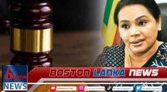 News Iamges.00_00_00_05.Still2266