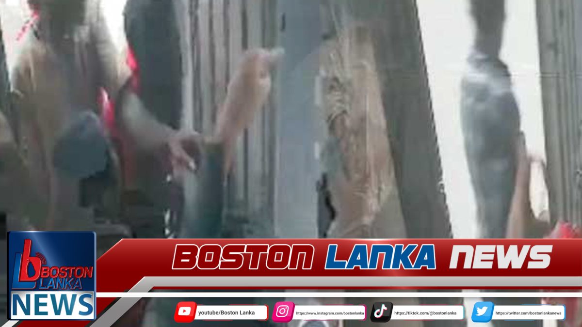 වෙළෙඳ සැලට පැන්න කාන්තා කොල්ල කල්ලිය……