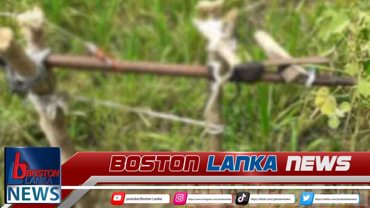 සතුන් දඩයම් කිරීම සඳහා අටවා තිබූ බදින තුවක්කුවක් පත්තුවීමෙන් සිය තල හේනට ගිය පියෙකු අවසන් ගමන් යයි…..