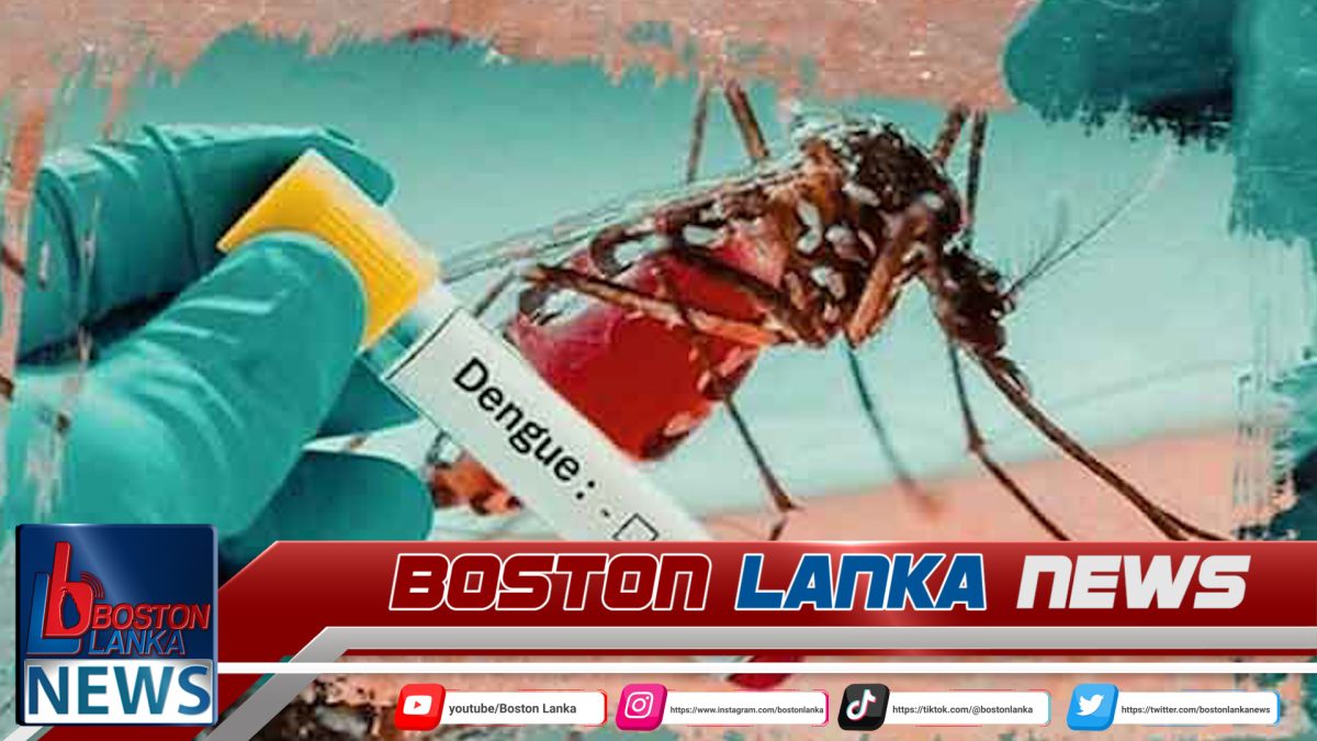පසුගිය වසරට සාපේක්ෂව ඩෙංගු රෝගීන්ගේ වැඩිවීමක්……