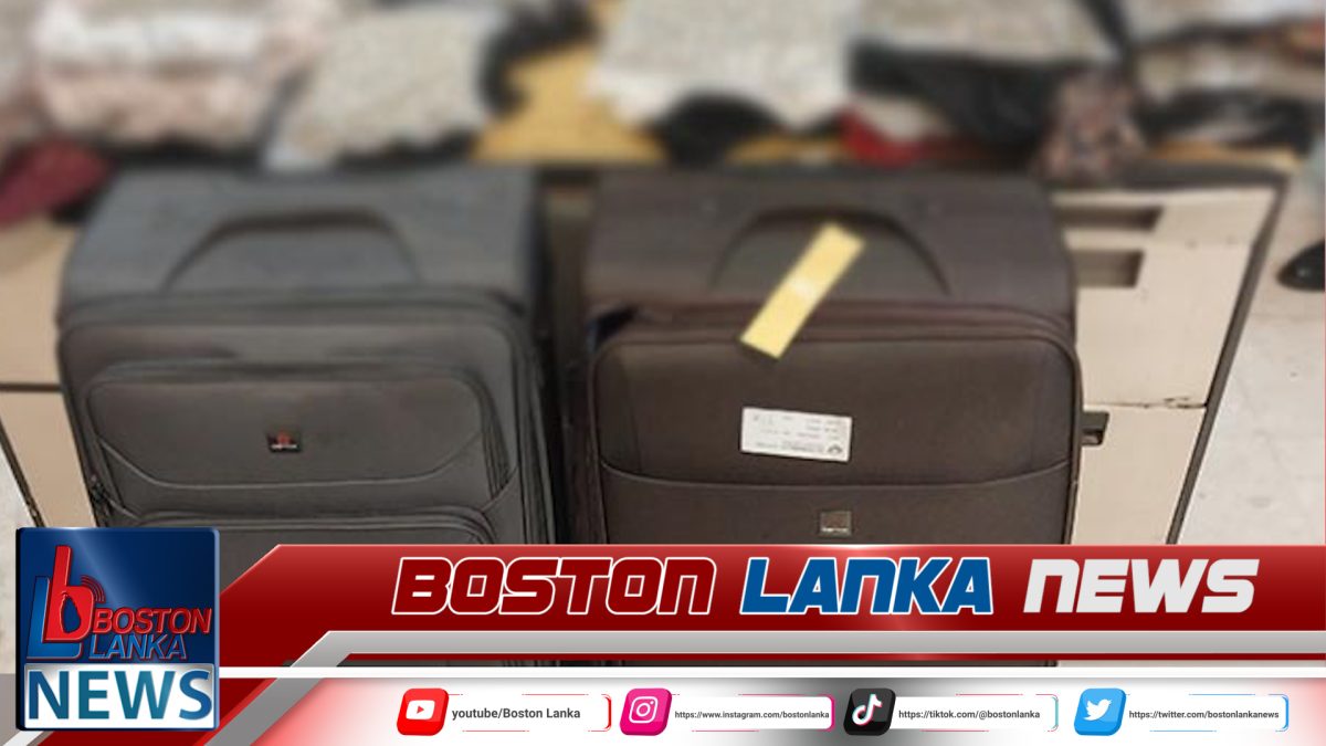 රු. කෝටි 14කට වැඩි කුෂ් සමඟ දෙදෙනෙක් ගුවන්තොටේ දී අත්අඩංගුවට…