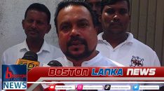 Wimal