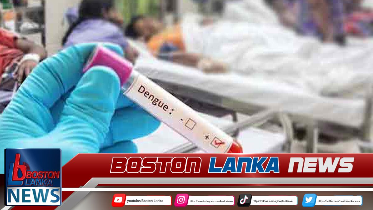 ගත වූ පැය 24 තුළ ඩෙංගු රෝගීන් 1069ක්……