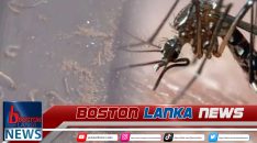 News Iamges.00_00_00_00.Still2910