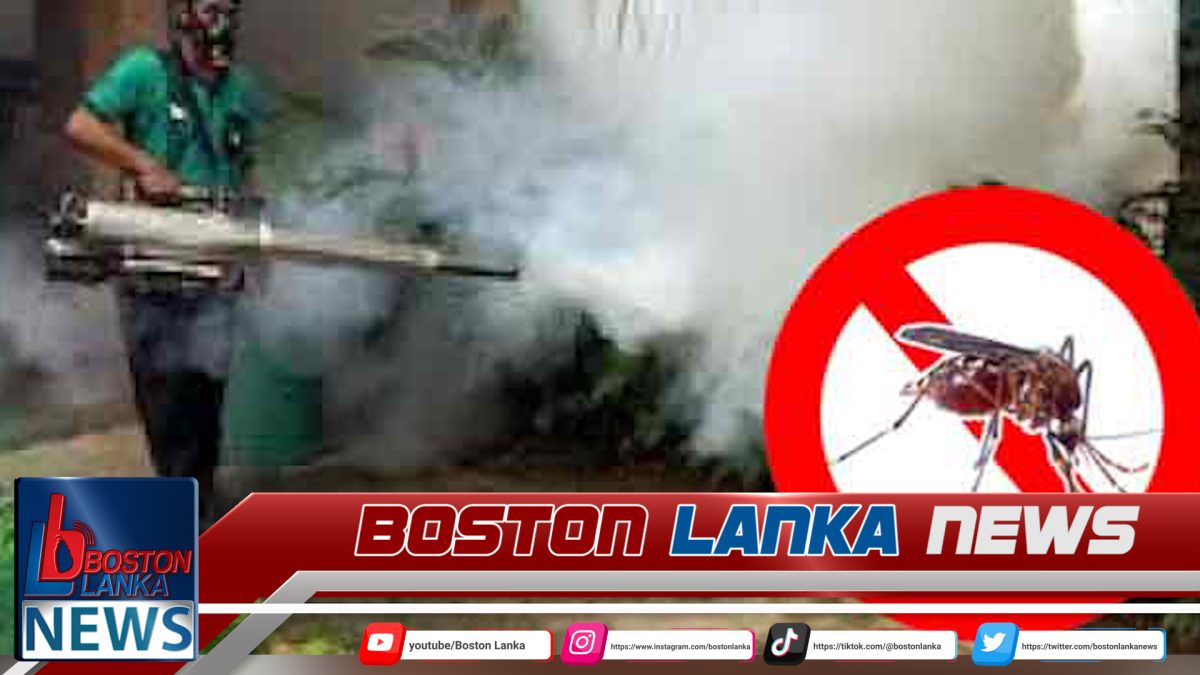 පළාත් 6ක අද සිට විශේෂ ඩෙංගු මර්දන වැඩසටහනක් – ඩෙංගු රෝගීන් 48,000 පනී……