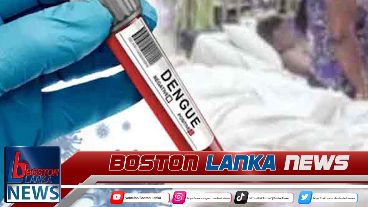 ඩෙංගු රෝගීන් සංඛ්‍යාව 50,000 ඉක්මවයි….