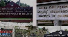 univercity