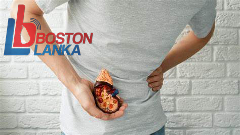 kidney-disease