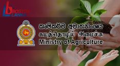 ministry-of-agriculture