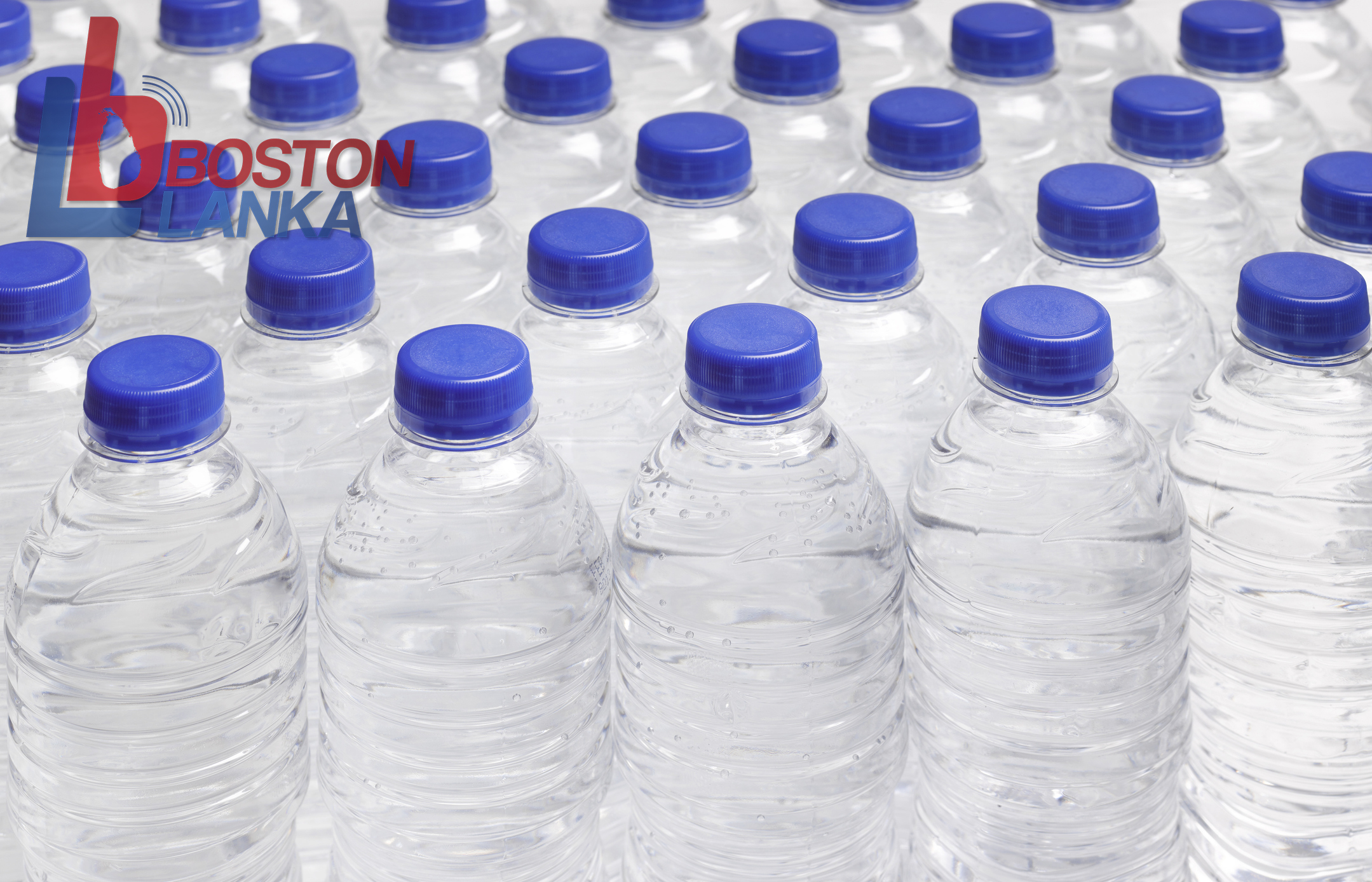 Full frame of still water bottles in rows