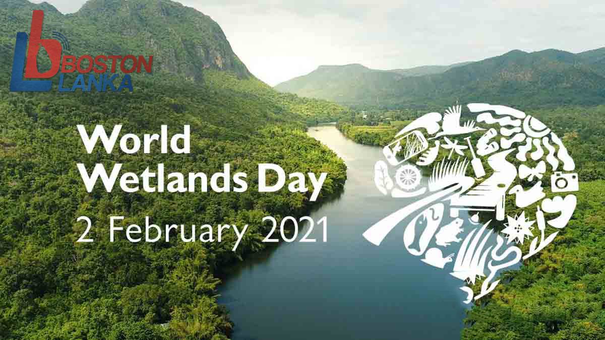 world-Wetlands-Day