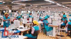 garment-factory-n