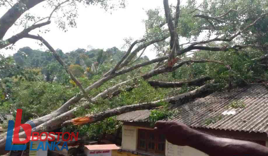 balangoda-fg