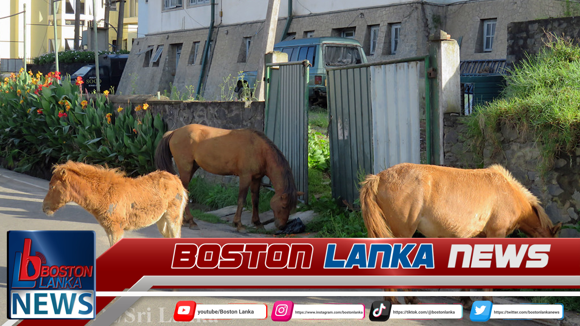 News Iamges.00_00_00_00.Still176