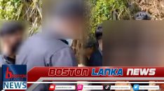 News Iamges.00_00_03_20.Still1098