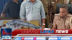 News Iamges.00_00_03_20.Still1103