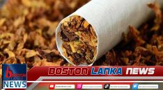 News Iamges.00_00_00_03.Still1307