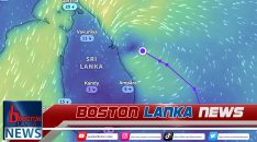 News Iamges.00_00_00_03.Still1308