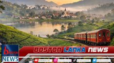 News Iamges.00_00_00_00.Still1551