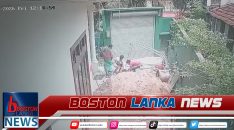 News Iamges.00_00_00_00.Still1557