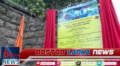 News Iamges.00_00_00_00.Still1565