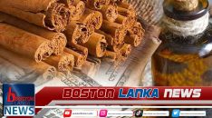 News Iamges.00_00_00_00.Still1585