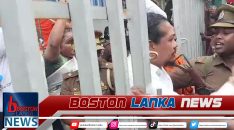 News Iamges.00_00_00_00.Still1599