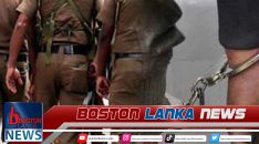 News Iamges.00_00_00_00.Still1698