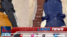 News Iamges.00_00_01_15.Still1617