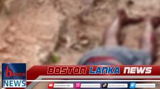 News Iamges.00_00_00_00.Still1764