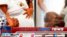 News Iamges.00_00_00_00.Still1772