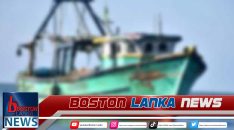 News Iamges.00_00_00_00.Still1801