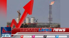 News Iamges.00_00_00_00.Still1811