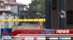 News Iamges.00_00_00_00.Still1812