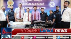 News Iamges.00_00_00_00.Still1819