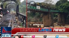 News Iamges.00_00_00_00.Still1874