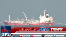 News Iamges.00_00_00_00.Still1916