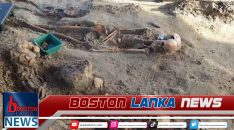 News Iamges.00_00_00_00.Still1937