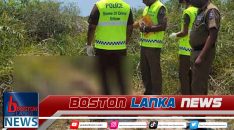 News Iamges.00_00_00_00.Still1946