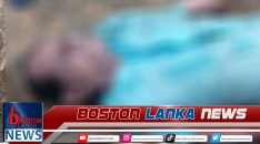 News Iamges.00_00_00_00.Still1947