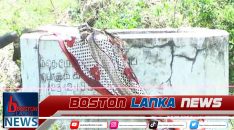 News Iamges.00_00_00_00.Still1951