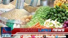 News Iamges.00_00_00_00.Still1955