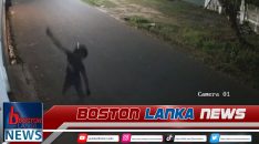 News Iamges.00_00_00_05.Still2037