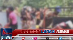 News Iamges.00_00_00_05.Still2051