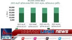 News Iamges.00_00_00_05.Still2066