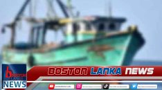 News Iamges.00_00_00_05.Still2071