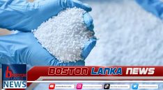 News Iamges.00_00_00_11.Still2022