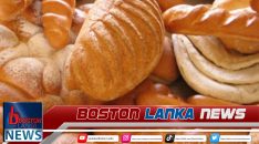 News Iamges.00_00_00_15.Still1976