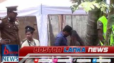 News Iamges.00_00_00_15.Still1986